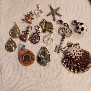 Assorted Charm Collection